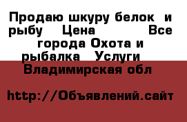 Продаю шкуру белок  и рыбу  › Цена ­ 1 500 - Все города Охота и рыбалка » Услуги   . Владимирская обл.